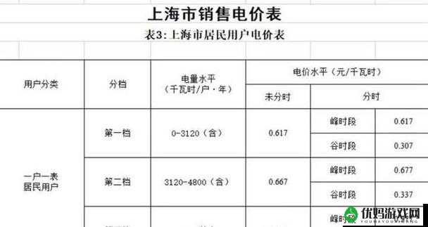 家庭理论电费 2024 最新-关于家庭电费的深入探讨与分析